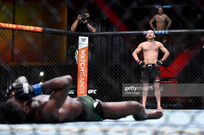 Lezbiyen mushuk tami